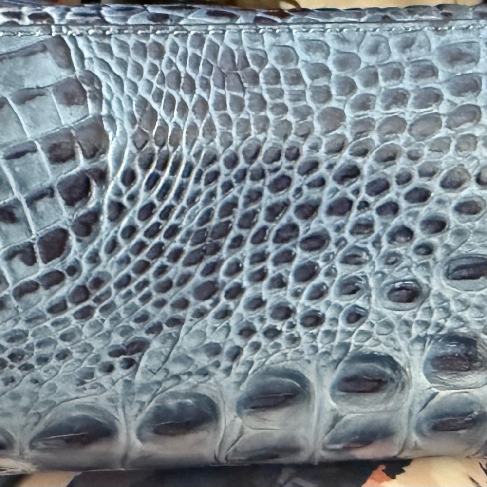 Brahmin Mini Asher